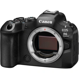 Фотоаппарат Canon EOS R6 Mark III Body + Canon Mount Adapter EF-EOS R Black