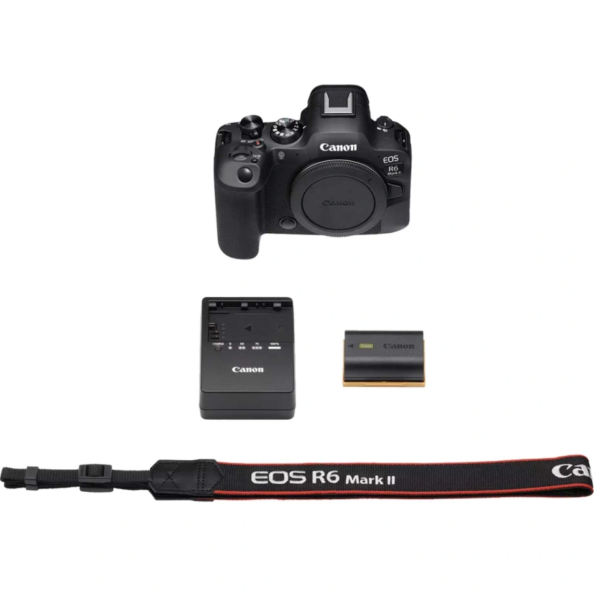 Фотоаппарат Canon EOS R6 Mark II Body Black фото 5