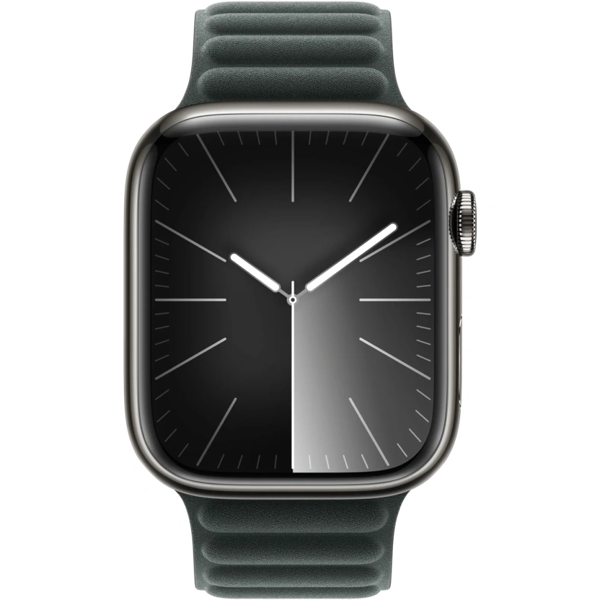 Ремешок Apple Watch 45mm Evergreen Magnetic Link S/M (MTJC3) фото 2